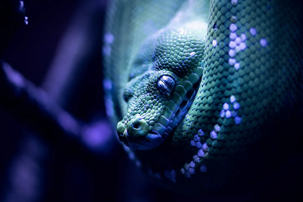 Photo by Austin Lowman on Unsplash
